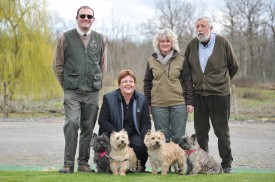 cairn terrier