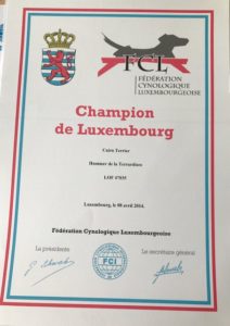 cairn terrier champion du Luxembourg