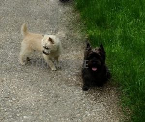 Leo et Jackson