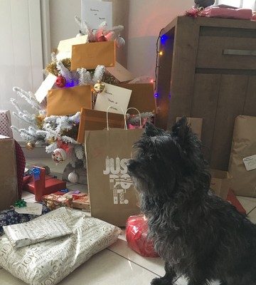 Pour moi tous ces cadeaux?