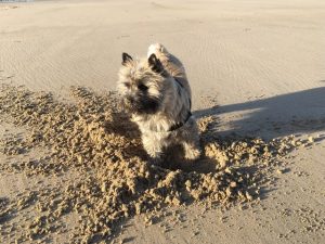 plus il y a du sable