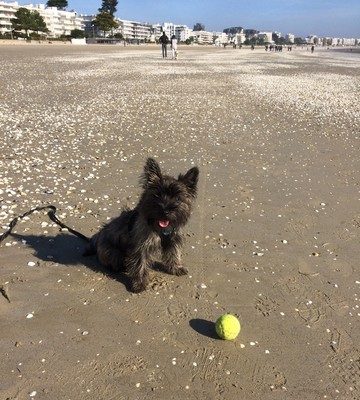 Au soleil sur la plage