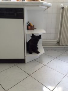 j'attends que ca sèche