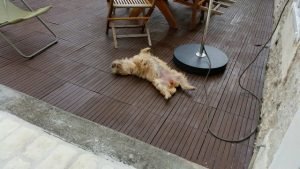séance de bronzage