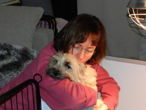 eleveur chiot cairn terrier