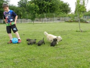 qui part avec le ballon