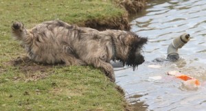 cairn pecheur