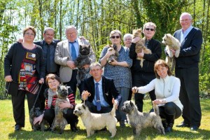 cairn terrier famille