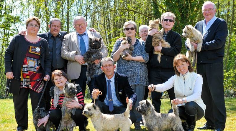 cairn terrier famille