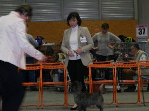 Meilleur de race