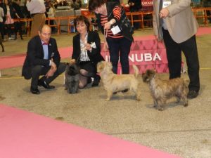 Jack , Bobby et Loly-pop