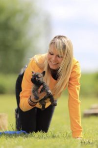 chiot cairn terrier