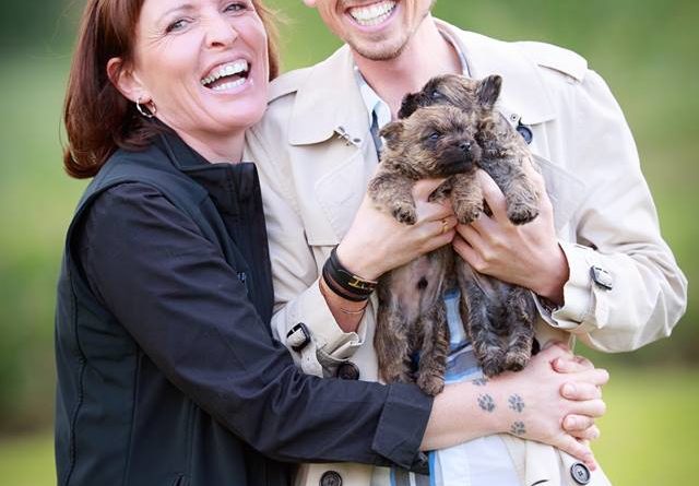 chiot cairn terrier