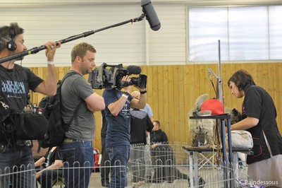 cairn terrier au championnat de france