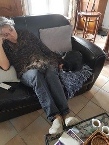 chiot cairn terrier femelle