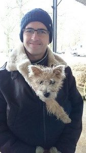 chiot cairn terrier femelle