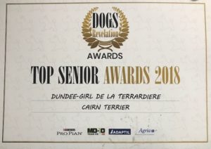 meilleur cairn terrier vétéran 2018