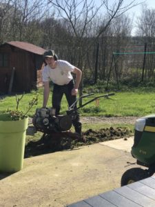 jardinage elevage cairn terrier