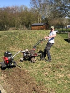 jardinage elevage cairn terrier