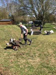 jardinage elevage cairn terrier