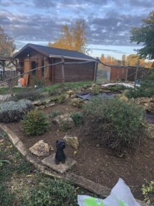 cairn terrier jardinage