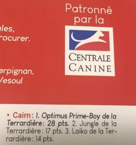 meilleur cairn terrier 2020