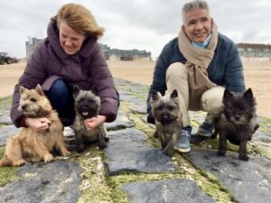 cairn terrier à pâques