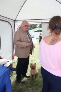 cairn terrier