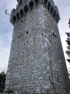 cairn terrier en italie