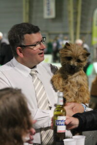 cairn terrier