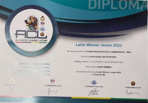 diplome cairn terrier latin winner