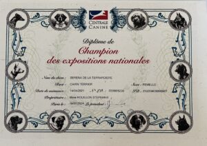Titre champion des expositions nationales