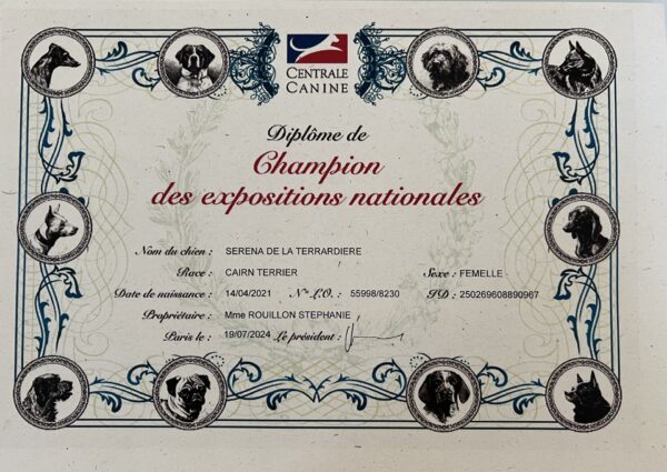 Titre champion des expositions nationales