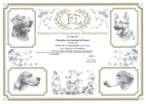 championne internationale