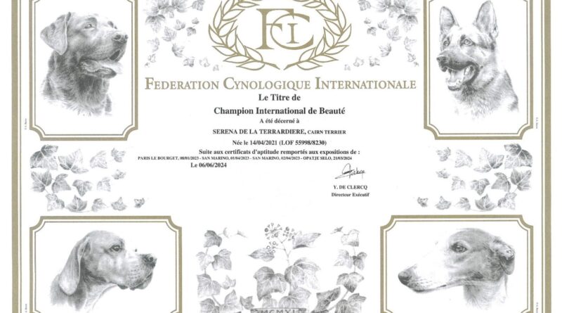 championne internationale