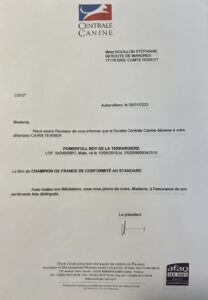 TITRE DE CHAMPION DE FRANCE