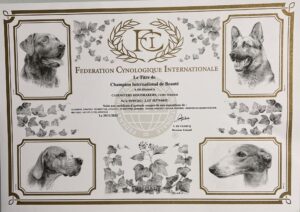 titre champion international cairn terrier male
