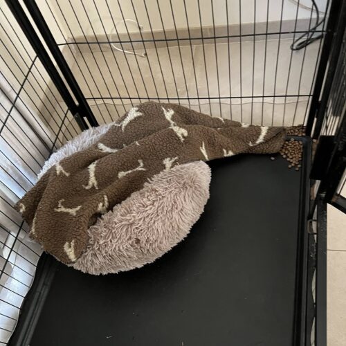 elle range sa chambre